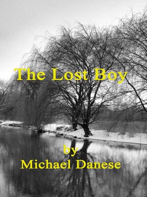 cover image of The Lost Boy